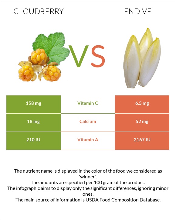 Cloudberry vs Endive infographic