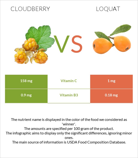 Cloudberry vs Loquat infographic