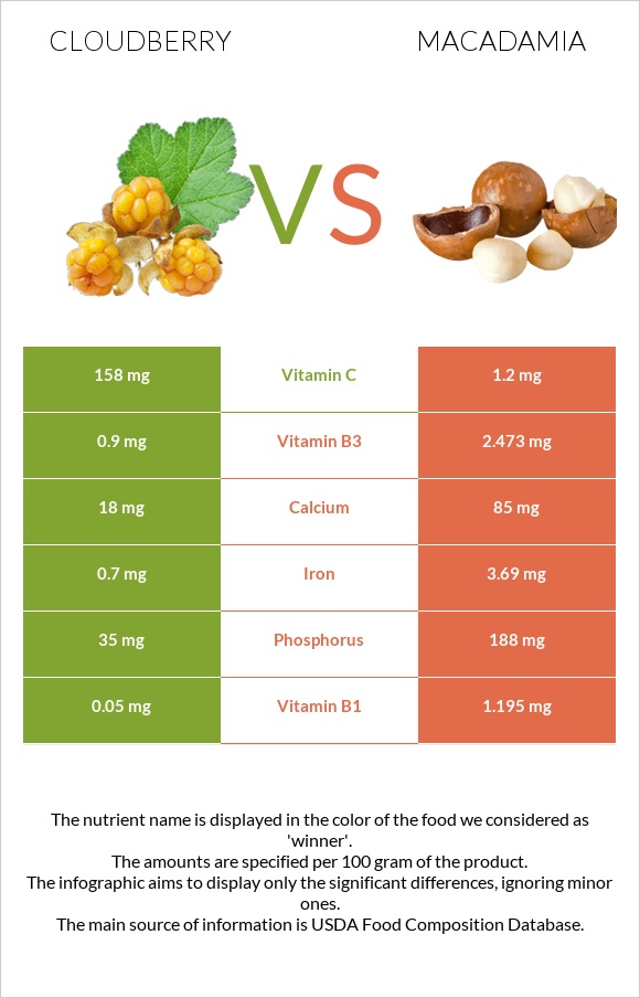 Cloudberry vs Macadamia infographic