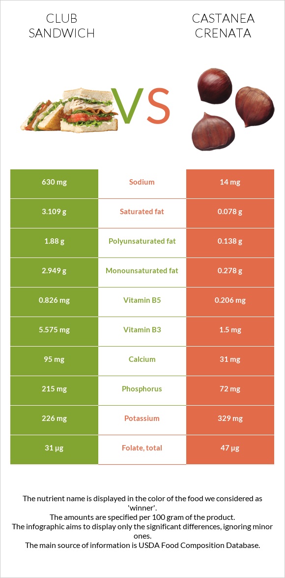 Club sandwich vs Castanea crenata infographic