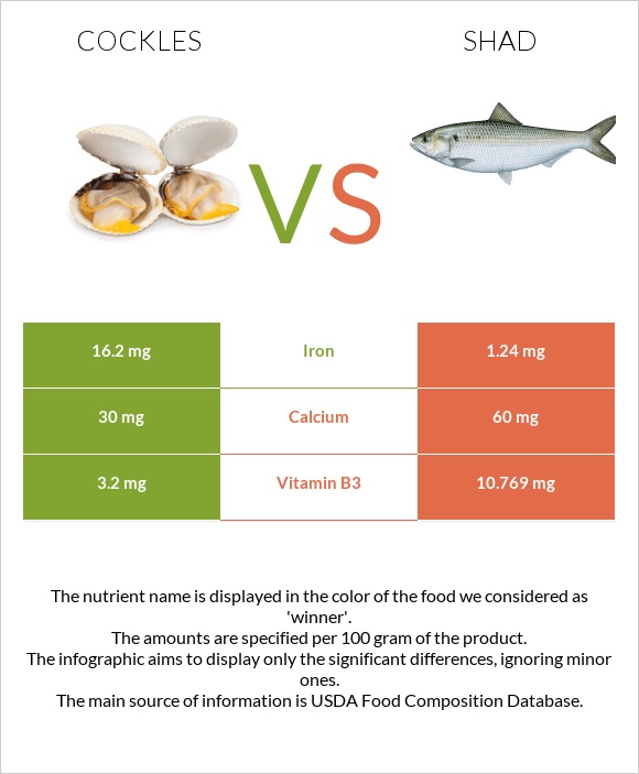 Cockles vs Shad infographic