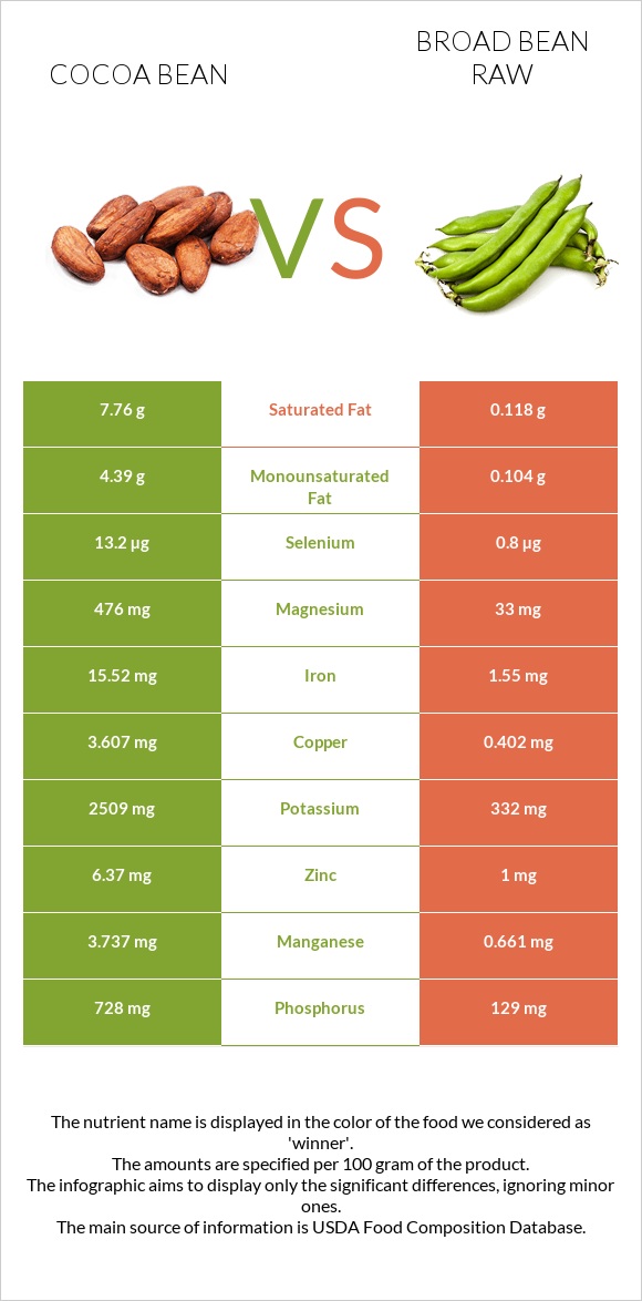 Cocoa bean vs Broad bean raw infographic