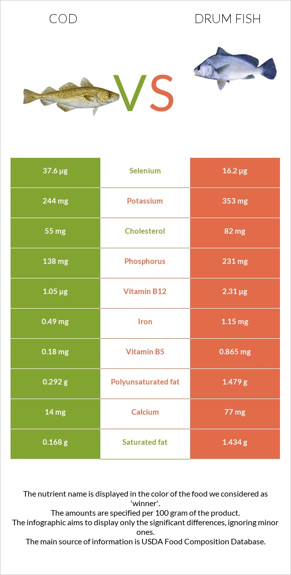 Ձողաձուկ vs Drum fish infographic