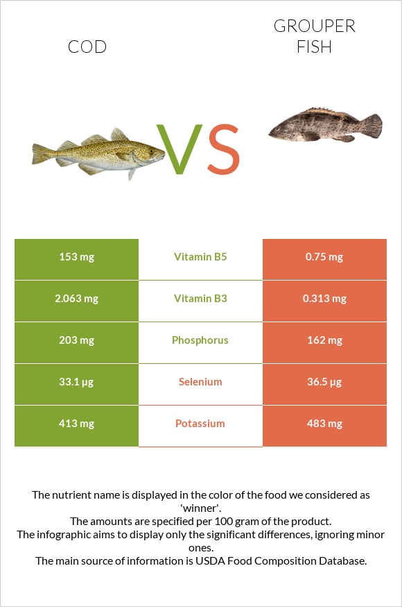 Ձողաձուկ vs Grouper fish infographic