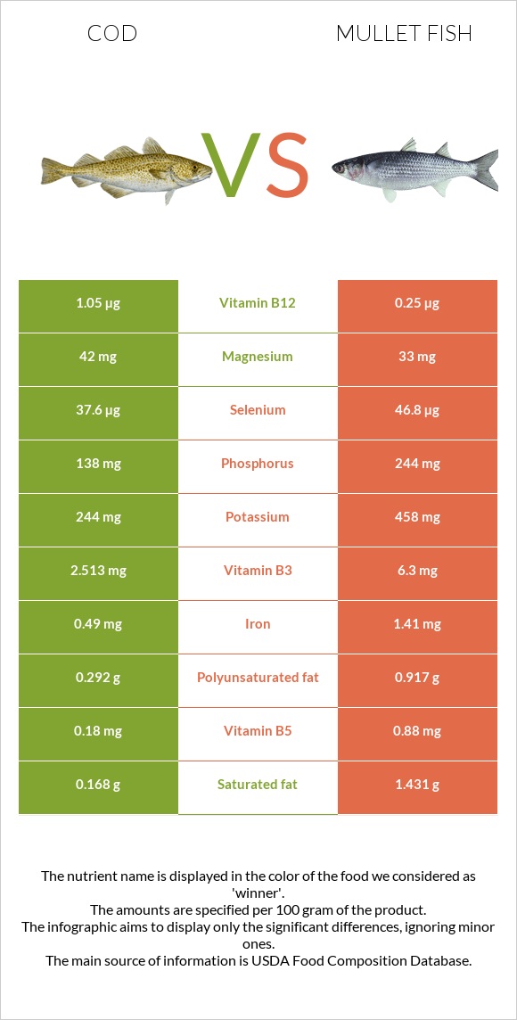 Cod vs Mullet fish infographic