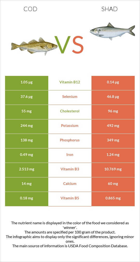 Ձողաձուկ vs Shad infographic