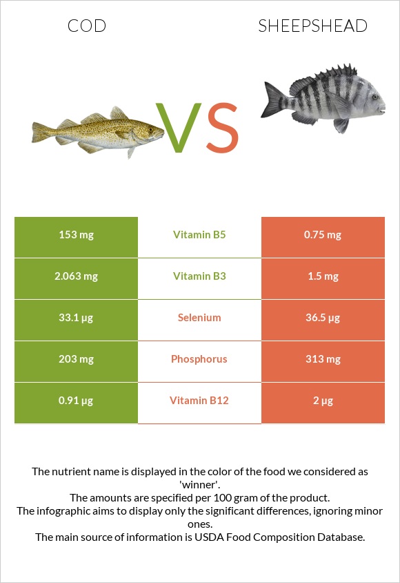 Cod vs Sheepshead infographic
