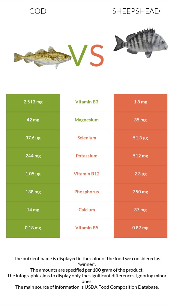 Ձողաձուկ vs Sheepshead infographic