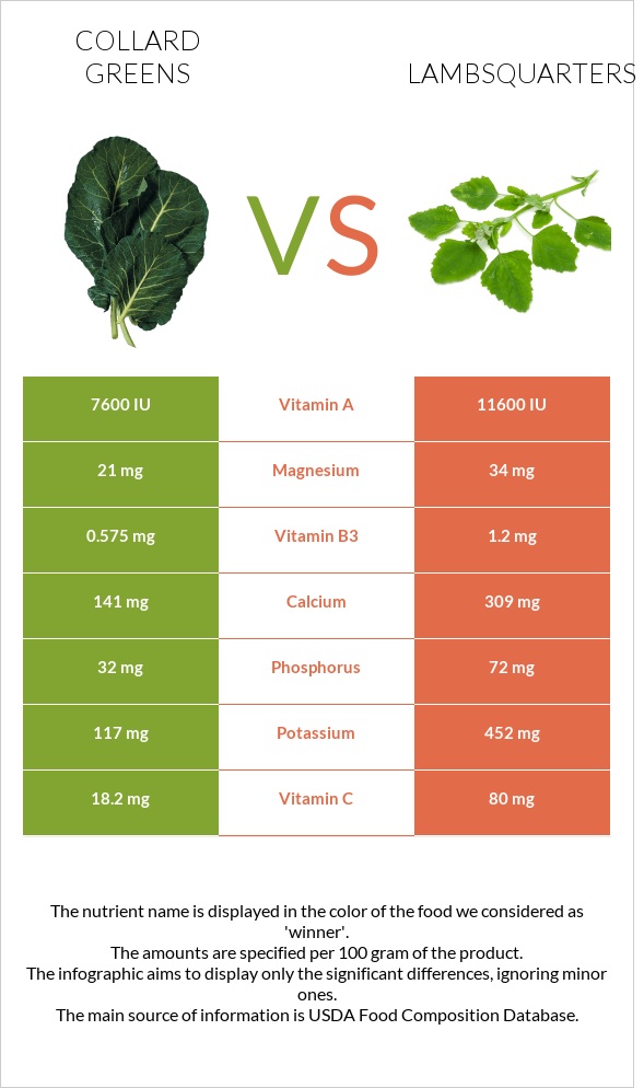 Collard vs Lambsquarters infographic