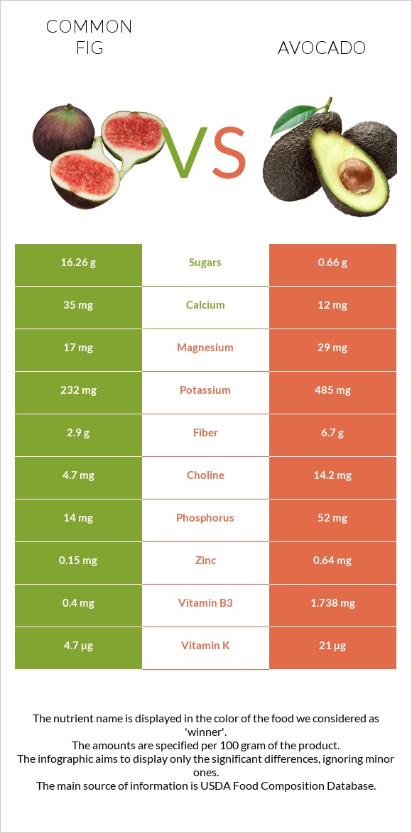 Common fig vs Avocado infographic
