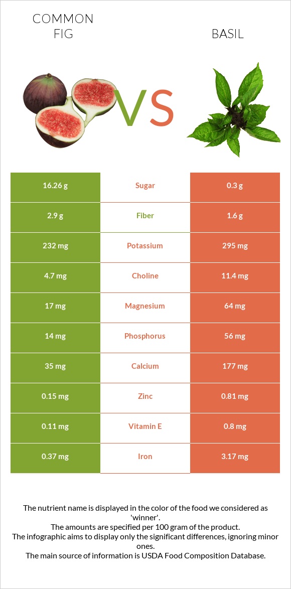 Figs vs Basil infographic