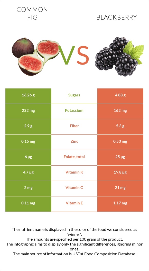 Common fig vs Blackberry infographic