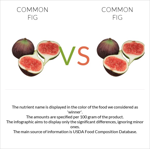 Թուզ vs Թուզ infographic