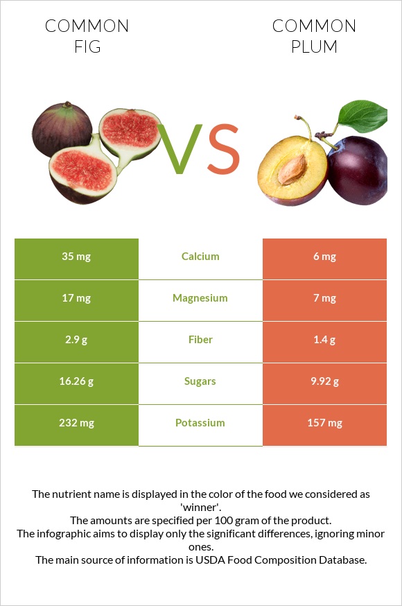 Common fig vs Common plum infographic