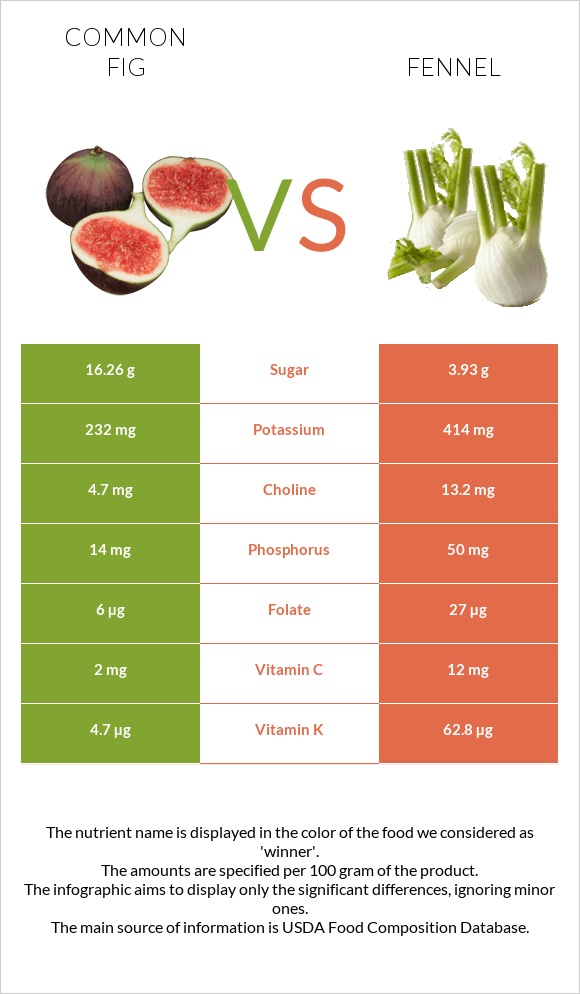 Figs vs Fennel infographic