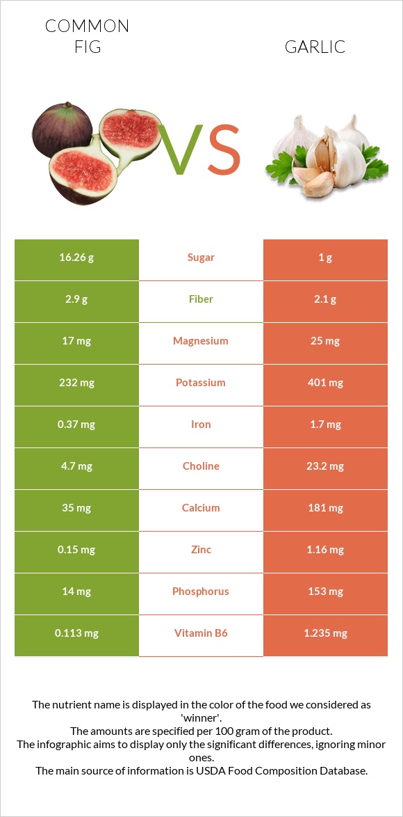Common fig vs Garlic infographic