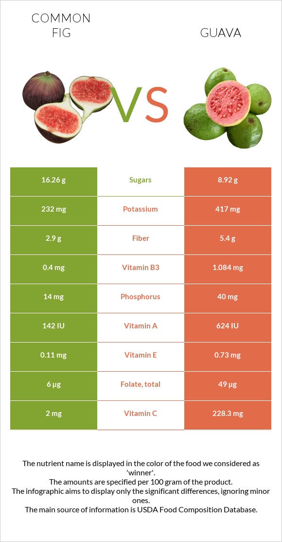 Figs vs Guava infographic