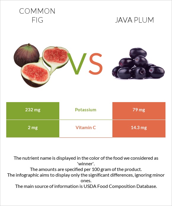 Figs vs Java plum infographic
