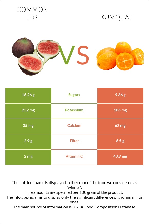 Common fig vs Kumquat infographic
