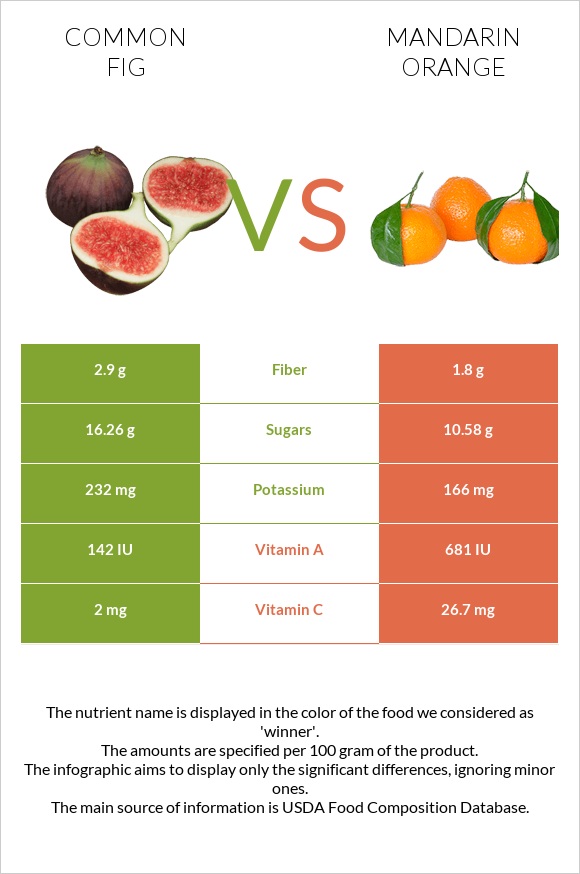 Common fig vs Mandarin orange infographic
