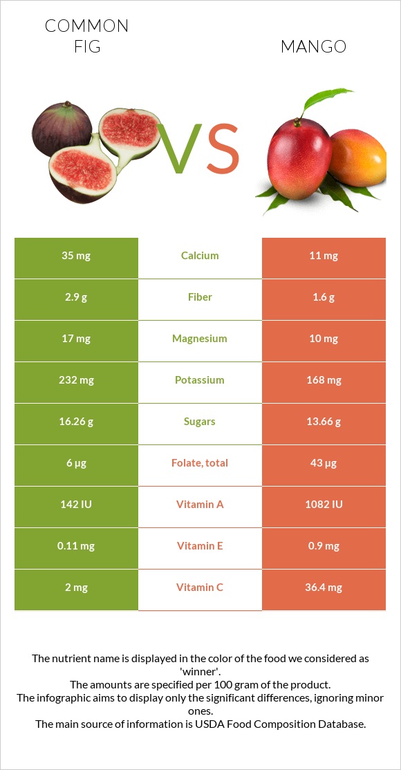 Common fig vs Mango infographic