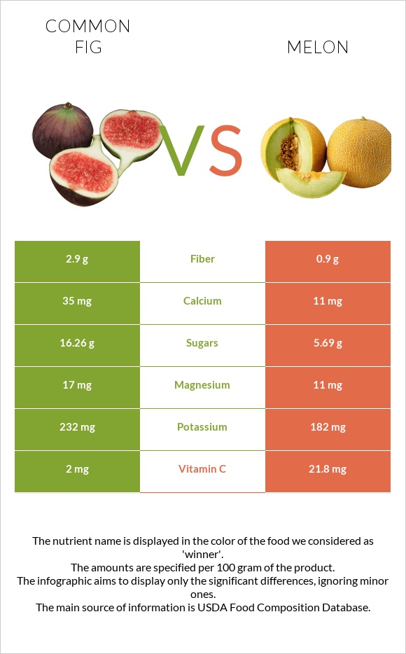 Common fig vs Melon infographic