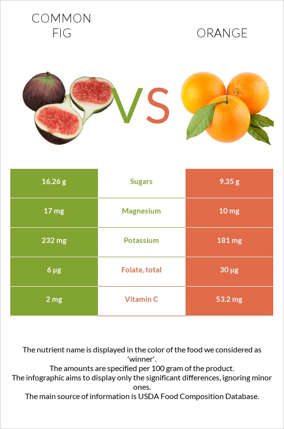 Common fig vs Orange infographic