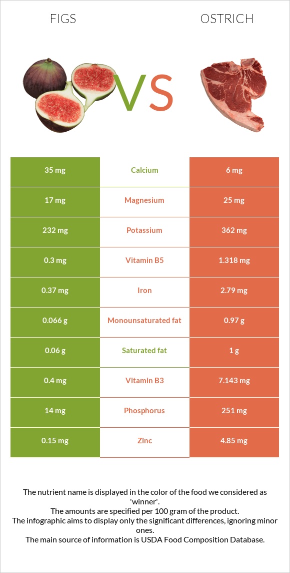 Թուզ vs Ջայլամ infographic