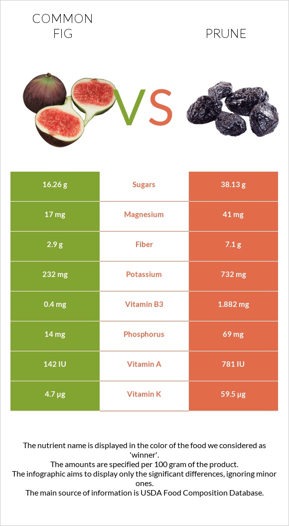 Common fig vs Prune infographic