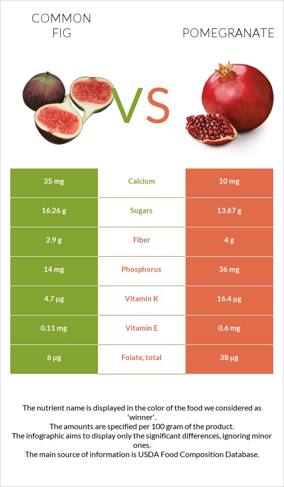 Common fig vs Pomegranate infographic