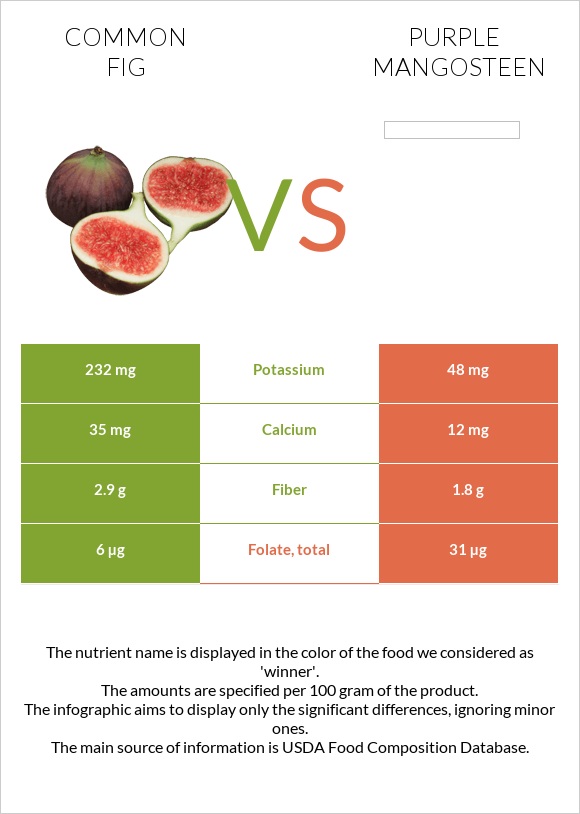 Common fig vs Purple mangosteen infographic