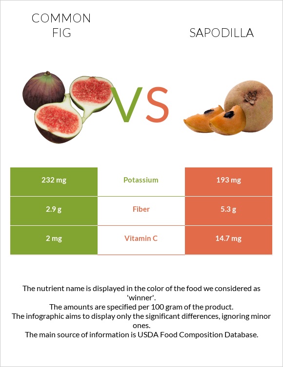 Common fig vs Sapodilla infographic