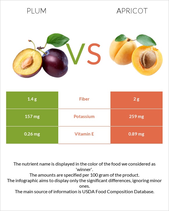Common plum vs Apricot infographic