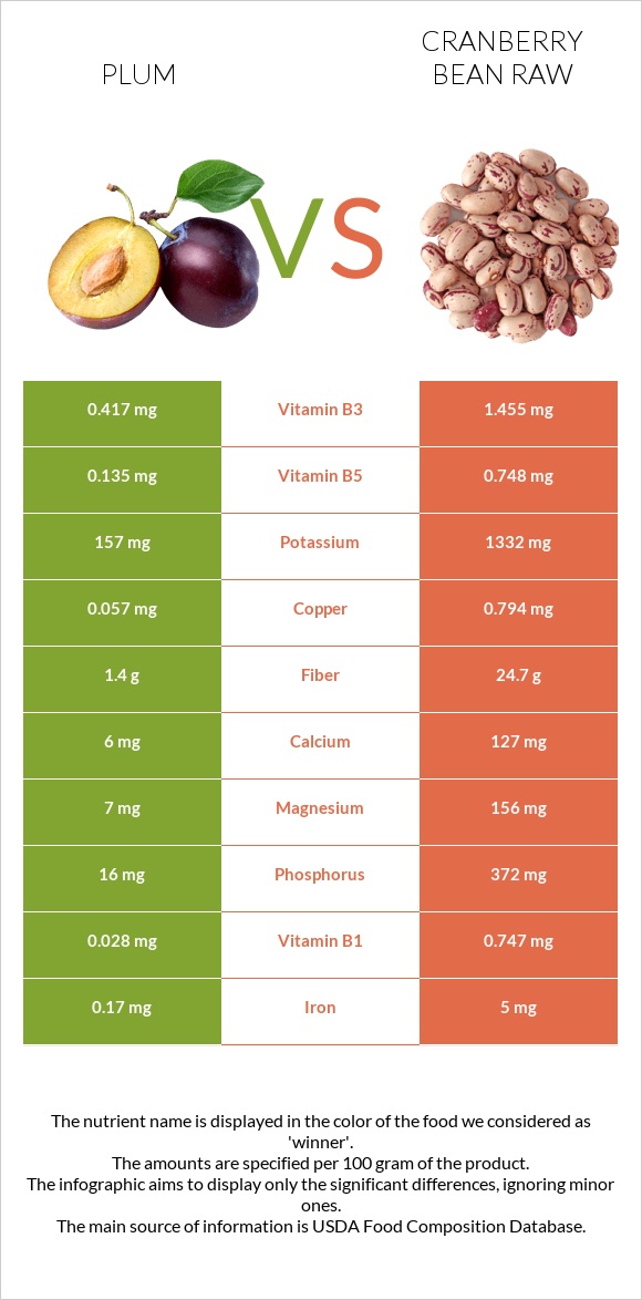 Plum vs Cranberry bean raw infographic