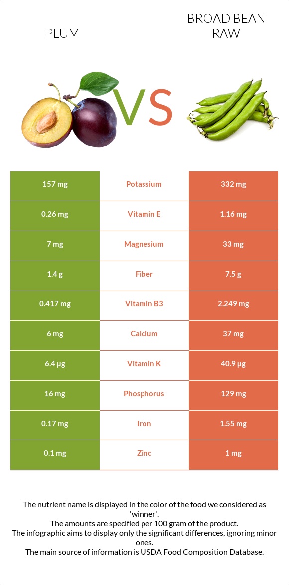 Plum vs Broad bean raw infographic