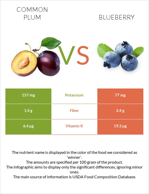 Common plum vs Blueberry infographic