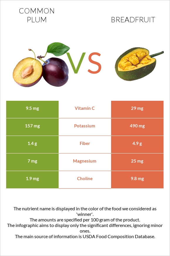 Plum vs Breadfruit infographic