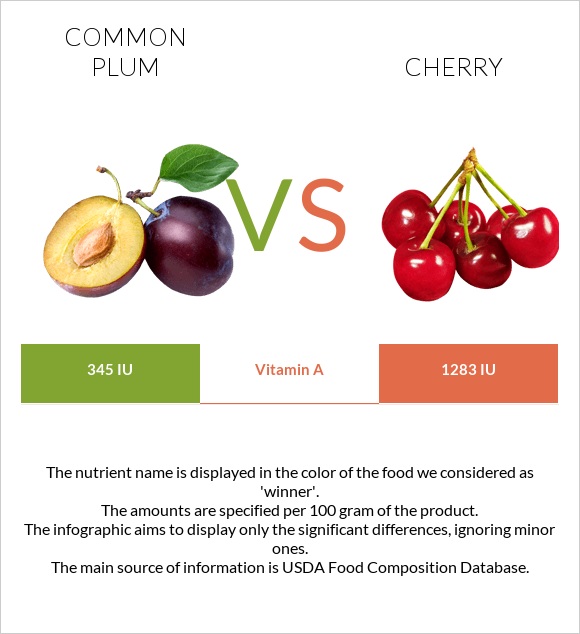 Common plum vs Cherry infographic