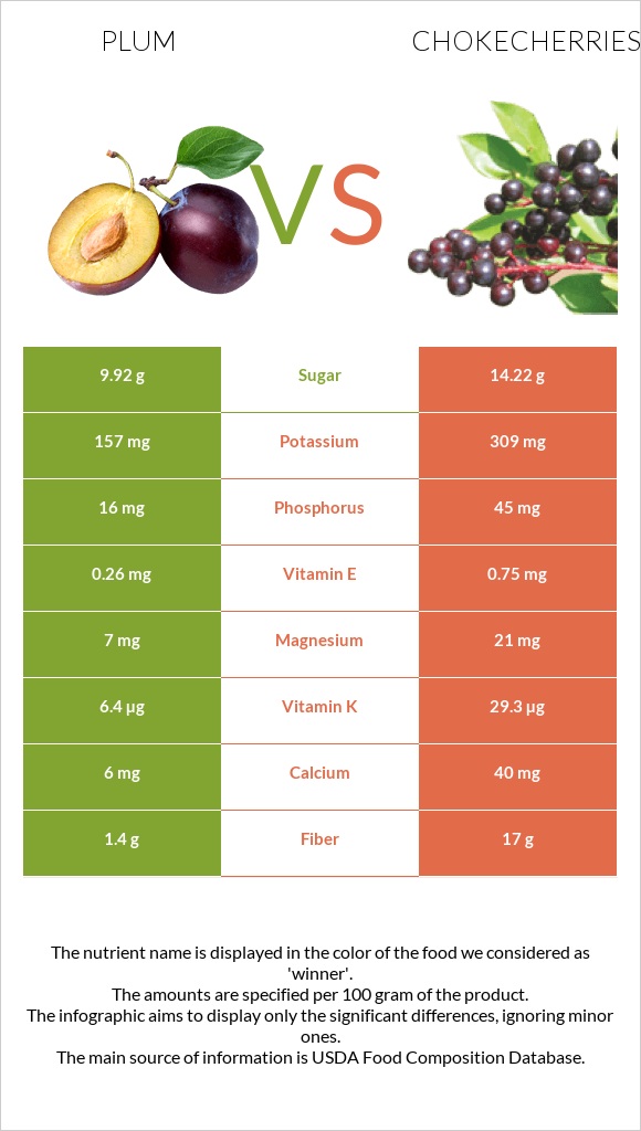 Սալոր vs Chokecherries infographic