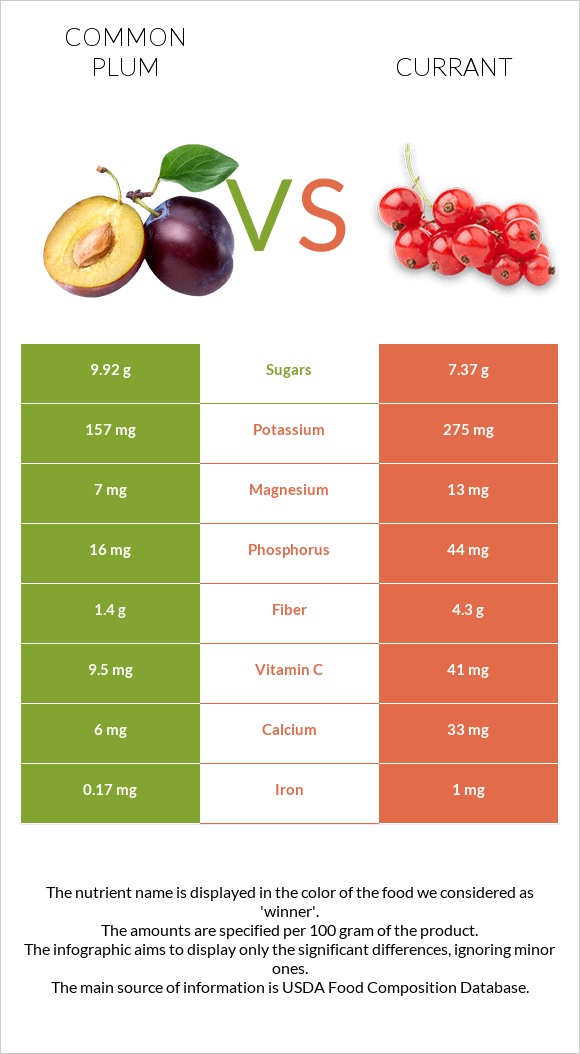 Common plum vs Currant infographic