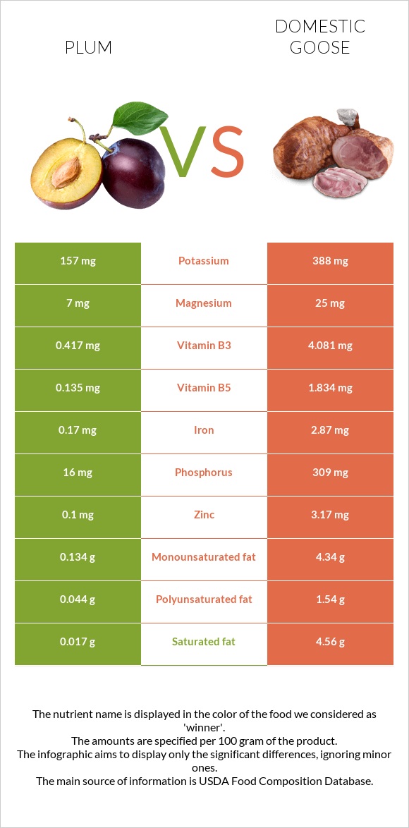 Plum vs Domestic goose infographic