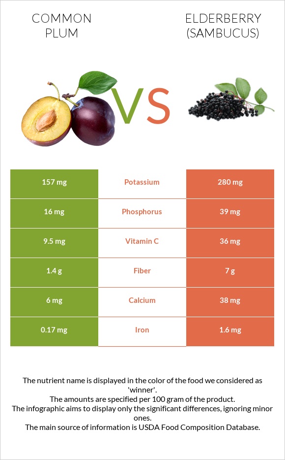Սալոր vs Elderberry infographic