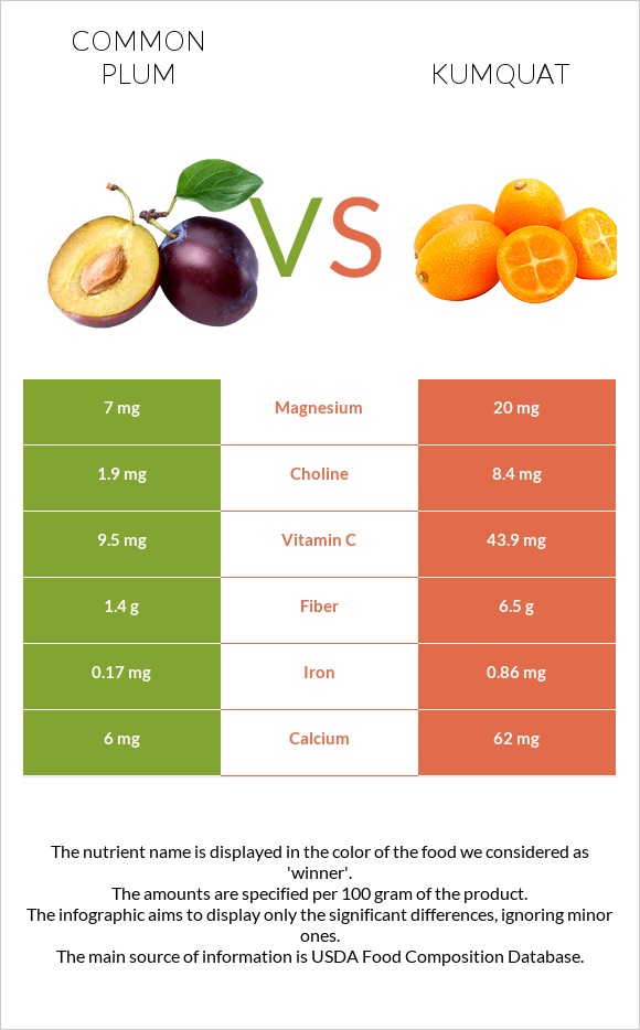 Common plum vs Kumquat infographic