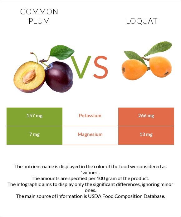 Սալոր vs Loquat infographic