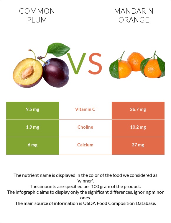Common plum vs Mandarin orange infographic