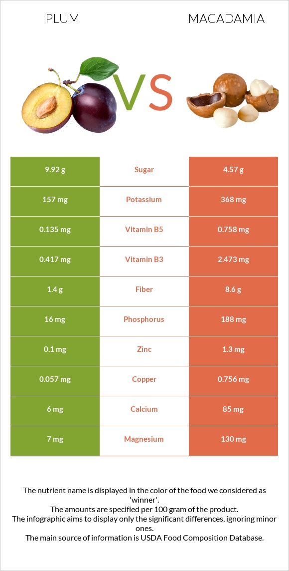 Plum vs Macadamia infographic