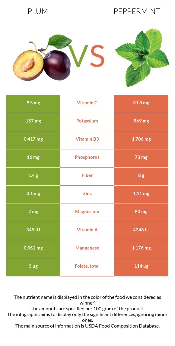 Սալոր vs Անանուխ infographic