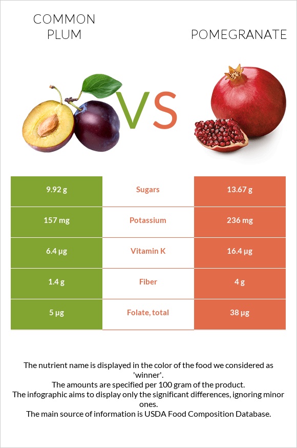 Common plum vs Pomegranate infographic