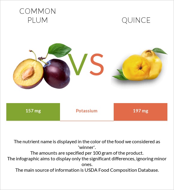 Common plum vs Quince infographic
