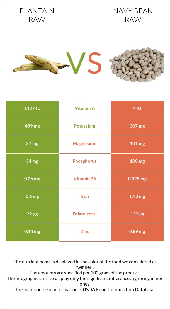 Plantain raw vs Navy bean raw infographic